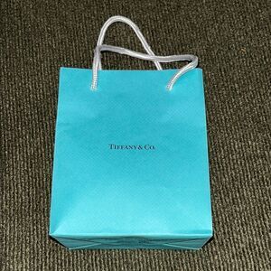Tiffany & Co. Turquoise Shopping Bag